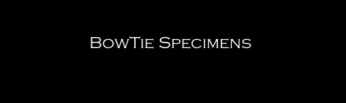 bowtie specimens logo